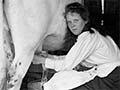 Audio: Working on a farm