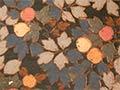 Interactive: Wallpaper fashions