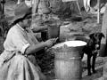Gum-digging village, around 1910