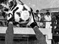 New Zealand plays Australia, 1981