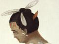 Comb and feather adornments