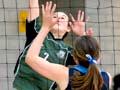 Junior volleyball championships, 2012