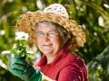 Gardener Dorothy Hood, 2010