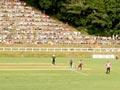 Cricket match at Pukekura Park, 2007