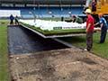 Portable cricket pitch 