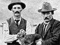Hare coursing