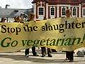 Advocating vegetarianism