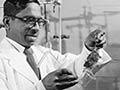 Animals in experiments