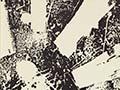 Cover of <em>No ordinary sun</em> by Hone Tuwhare