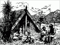 <em>Te Pipiwharauroa</em> masthead