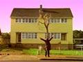 Video: The Mutton Birds, 'Dominion Road', 1992
