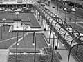 Midland Park, 1983