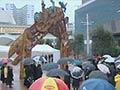 Video: Waharoa at Aotea Square