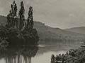 Una Garlick's portrait of the Waipā and Waikato rivers