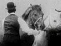Video: Shackleton departs for Antarctica, 1908