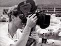Pacific Films at work