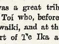'Sketches of ancient Maori life and history', 1894