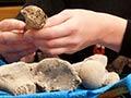 Isotope research on the people of Wairau Bar 