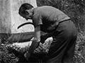 Tidying a historic site