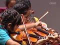 Video: Sistema Aotearoa concert