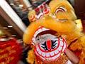 Lion dance