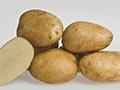 Video: A better potato