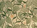 Wallpaper design from the New Zealand Industrial Exhibition, Wellington, 1885