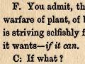 Dialogue on <em>On the origin of species</em>