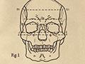 Osteological research on Māori and Moriori, 1893