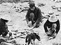 Catching fish at Pārengarenga, 1907