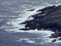 Rangiaotea (Pitt Island)