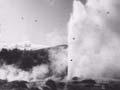 Video: Geyser Valley, 1950s