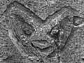 Tree carving