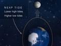 Interactive: The moon and the tides