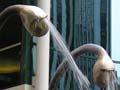 Silvia Salgado’s sculpture, Wellington