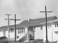 State houses, Porirua