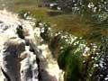 Video: Hot spring with cyanobacteria
