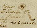 The Treaty of Waitangi