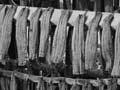 Drying eels