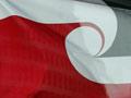 Tino rangatiratanga flags at Parliament