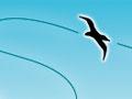 Energy-efficient flight