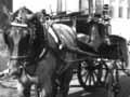 Two young boys next to horse and cart