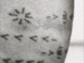 Woman's tattoo 