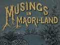 Musings in Maori-land