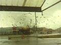 Video: Tornadoes