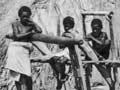 A Fijian ndrua (1st of 2)