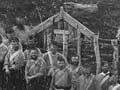 Government forces near Parihaka