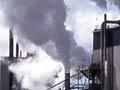 Tasman Pulp and Paper mill