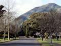 Kawerau town, 2004 (2nd of 2)