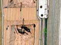 Wētā condominium